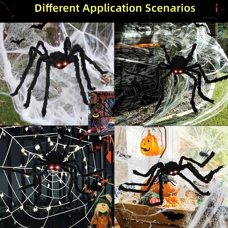 11749172