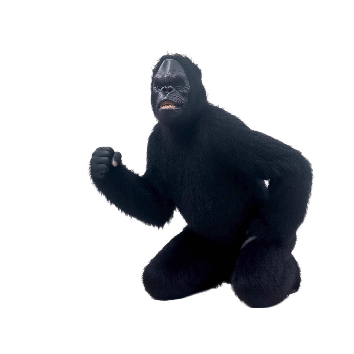 11476091