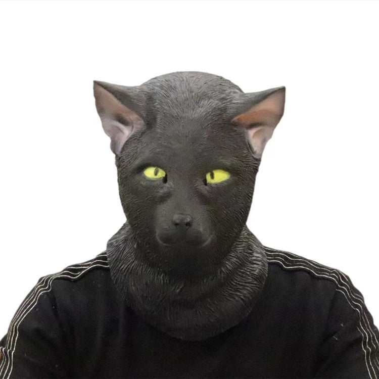 11692968